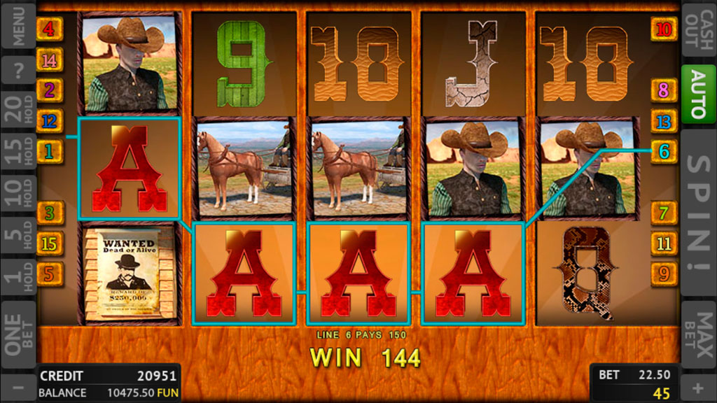 Wild West screenshot 3